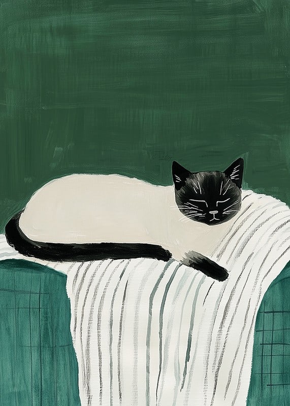 A poster with a black and white cat sleeping on a striped blanket-12