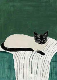 A poster with a black and white cat sleeping on a striped blanket-7