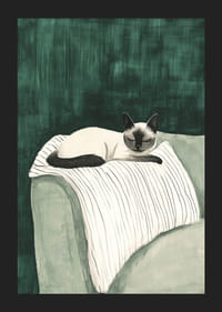 En plakat av en siameserkatt som hviler på et stripete teppe-5