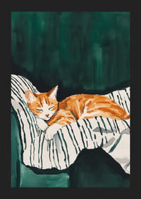 Plagát spiacej oranžovej mačky na pruhovanej deke-5