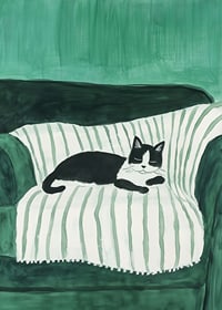 A stylish poster of a black and white cat sleeping on a striped blanket-7
