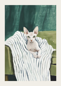 En poster av en sphynxkatt på en randig filt-3