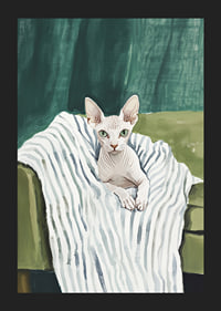 A poster of a sphynx cat on a striped blanket-5
