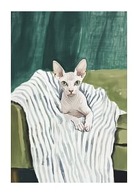Un poster cu o pisică sphynx pe o pătură în dungi-1