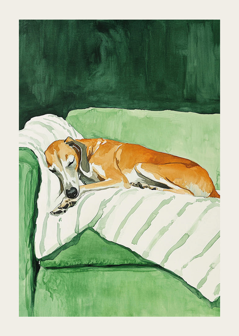 Een poster van een slapende hond op een gestreepte deken-12