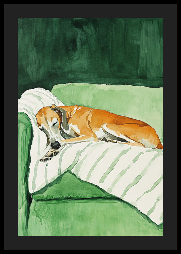 Een poster van een slapende hond op een gestreepte deken-12