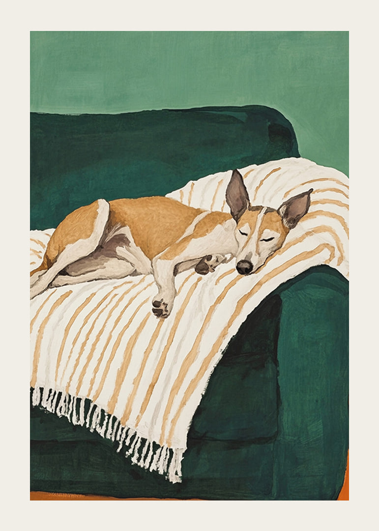 En poster av en sovande hund på en randig filt-12