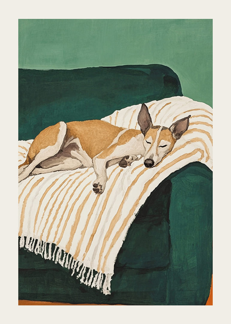 A poster of a sleeping dog on a striped blanket-12
