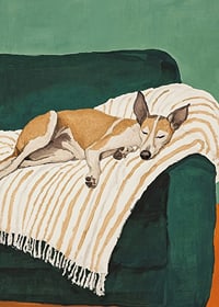 En poster av en sovande hund på en randig filt-7