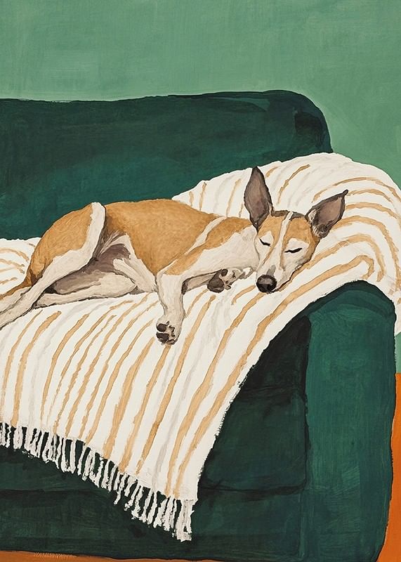 Une affiche d'un chien endormi sur une couverture rayée-12