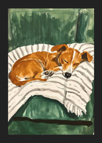 En poster av en sovande valp på en randig filt-5