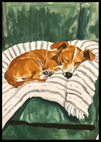 Een poster van een slapende puppy op een gestreepte deken-2
