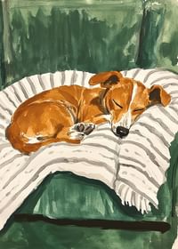 Een poster van een slapende puppy op een gestreepte deken-3