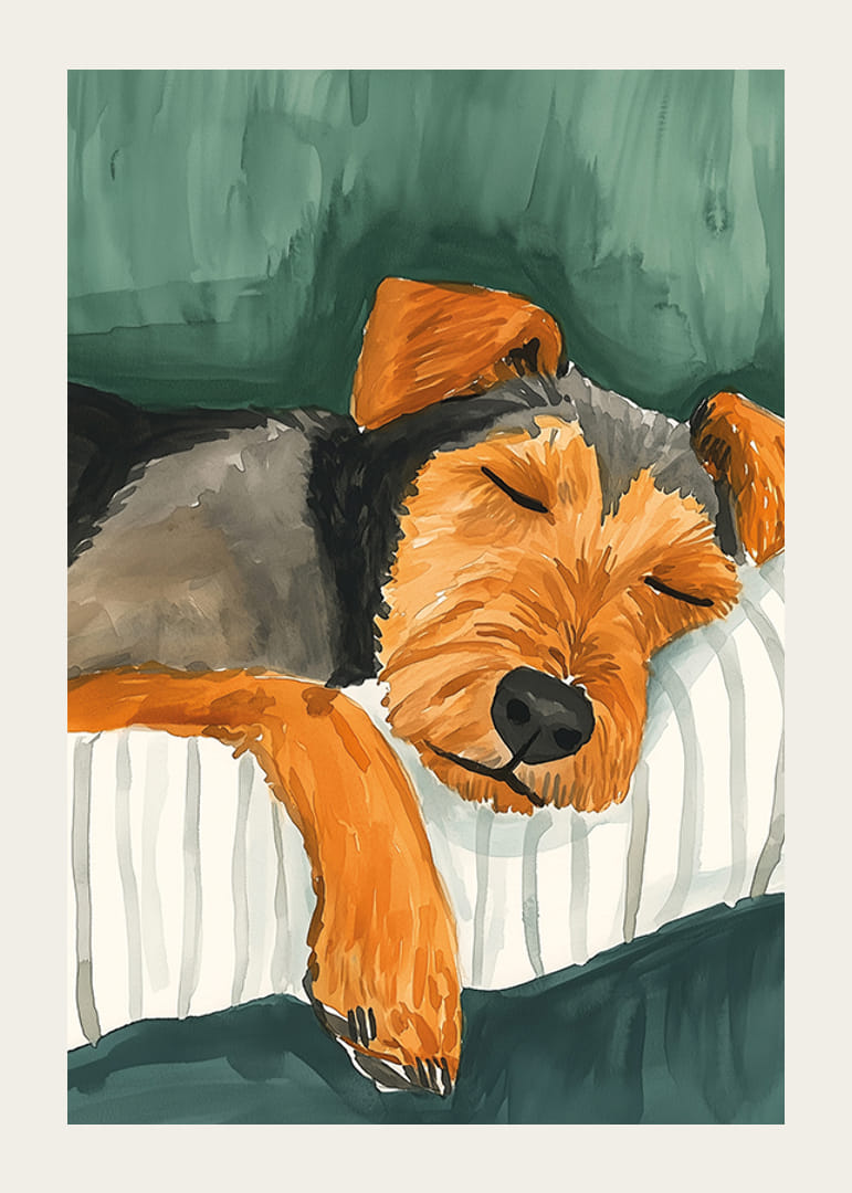 Een poster van een slapende hond op een gestreept kussen-12