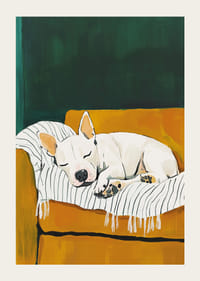 A poster of a sleeping white dog on a striped blanket-3