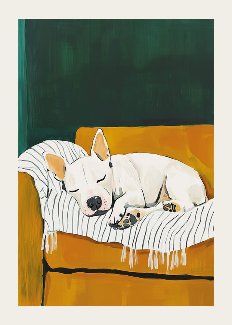 A poster of a sleeping white dog on a striped blanket-12