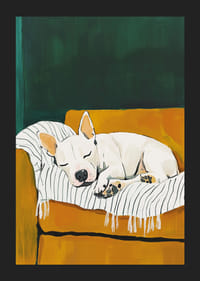 A poster of a sleeping white dog on a striped blanket-5