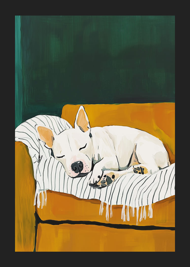 A poster of a sleeping white dog on a striped blanket-12