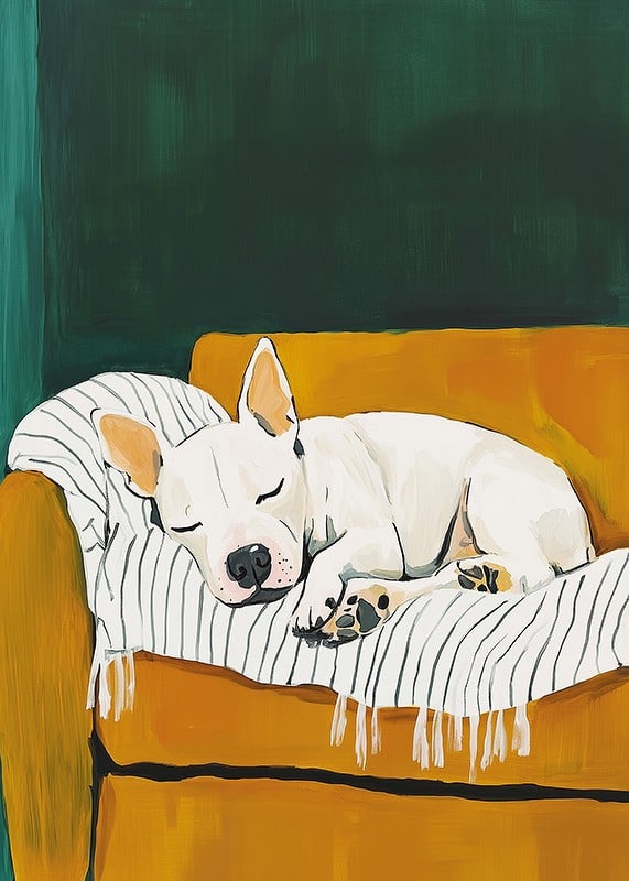 A poster of a sleeping white dog on a striped blanket-12