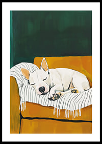A poster of a sleeping white dog on a striped blanket-0