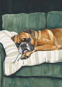 A poster of a sleeping boxer on a striped pillow-7