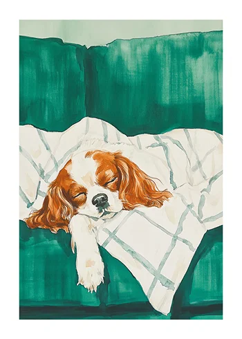 Poster Sleepy Companion