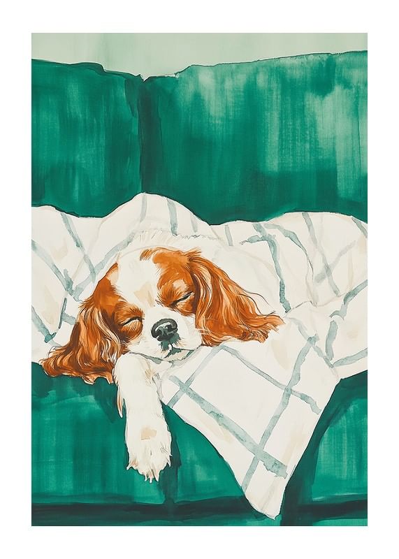 Poster Sleepy Companion