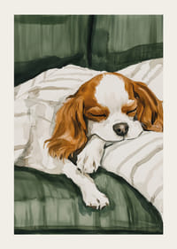 Een poster met een slapende hond op een zachte deken-3