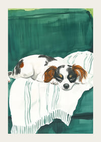 Un poster cu un cățeluș adormit pe o pătură moale-3