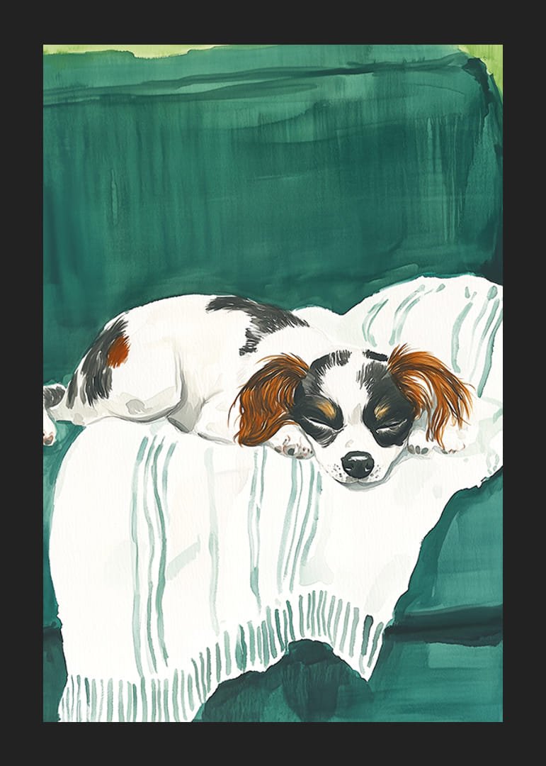 Un poster cu un cățeluș adormit pe o pătură moale-12