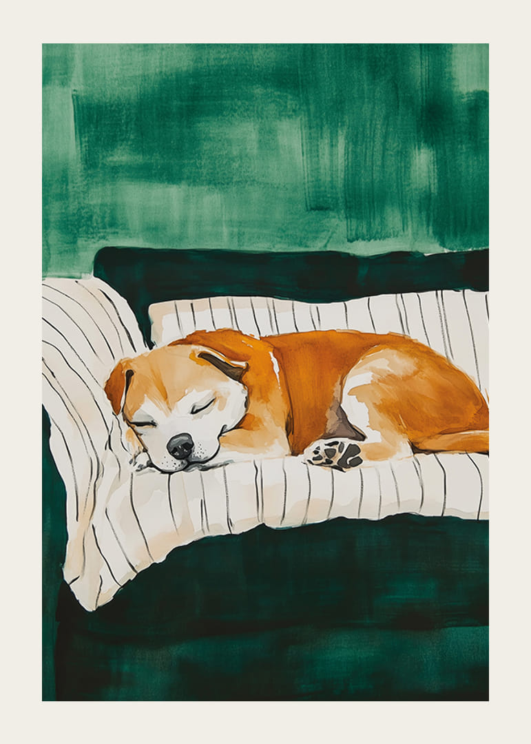 A poster of a sleeping dog on a striped blanket-12