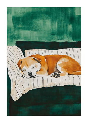 Plakat Dreaming Dog Bliss