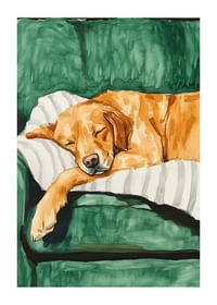 Un poster cu un golden retriever adormit-1