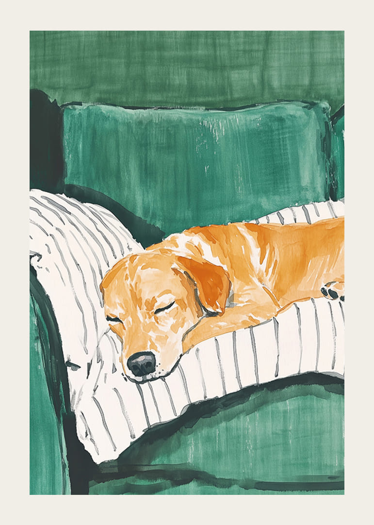 Un afiș cu un câine adormit pe o pernă în dungi-12