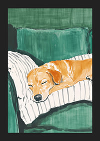 A poster of a sleeping dog on a striped pillow-5