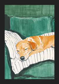 Un afiș cu un câine adormit pe o pernă în dungi-5