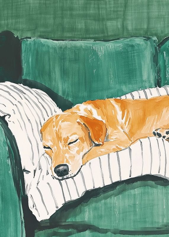 A poster of a sleeping dog on a striped pillow-12