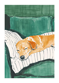 A poster of a sleeping dog on a striped pillow-1