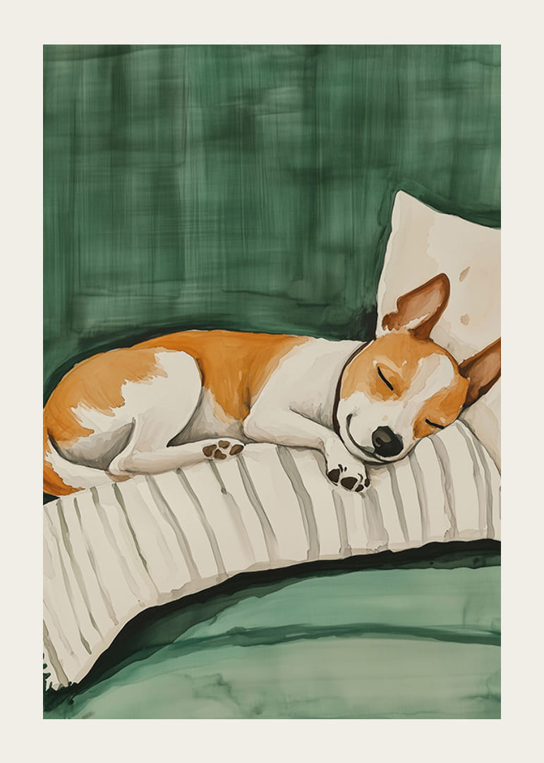 Un afiș cu un câine adormit pe o pernă în dungi-12