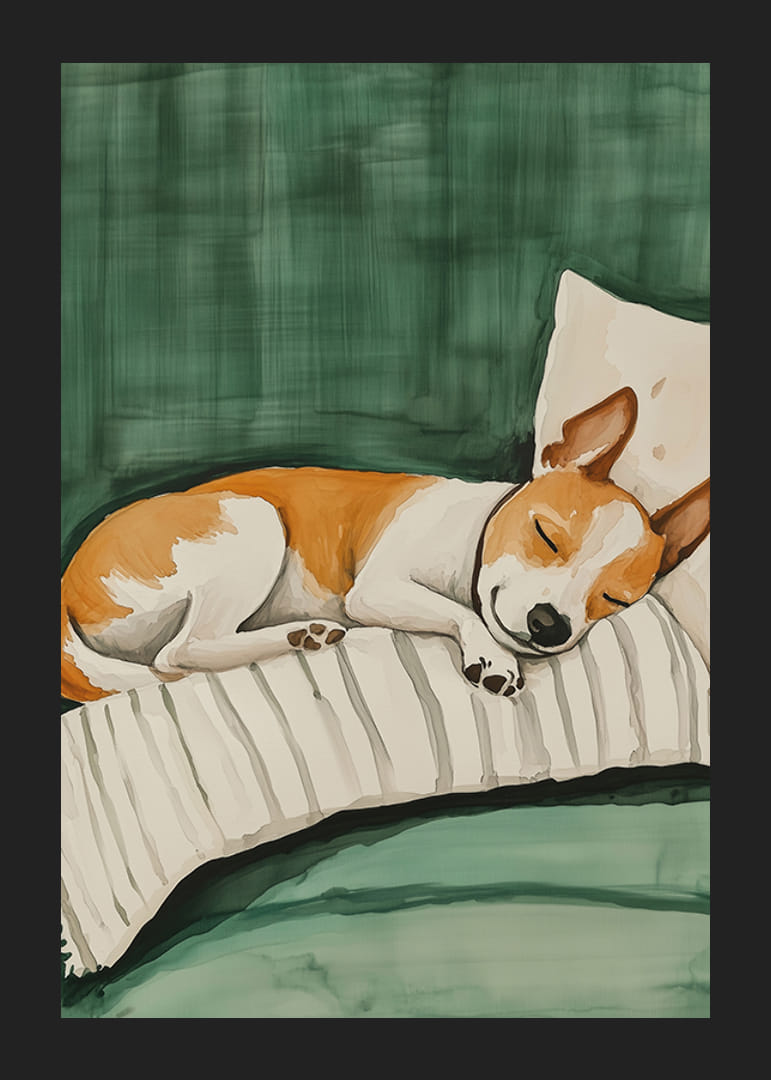 Un afiș cu un câine adormit pe o pernă în dungi-12