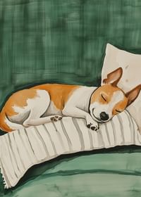 A poster of a sleeping dog on a striped pillow-3