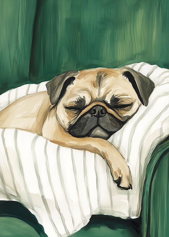 A poster of a sleeping pug that spreads warmth and calm in your home-12
