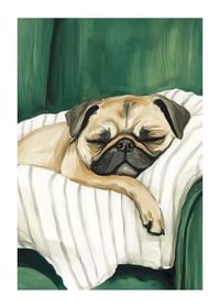 A poster of a sleeping pug that spreads warmth and calm in your home-1