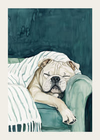 Un poster confortabil cu un buldog adormit-3