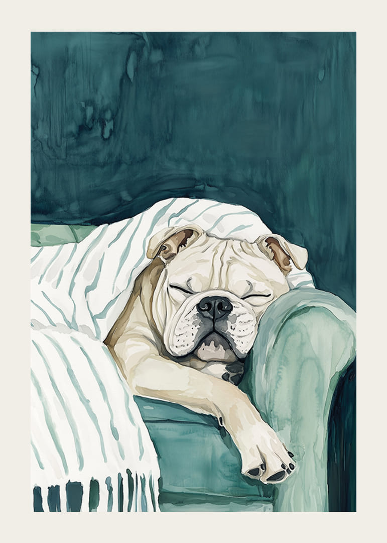 Un poster confortabil cu un buldog adormit-12