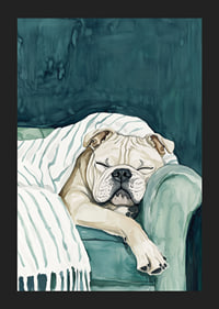 En mysig poster av en sovande bulldogg-5