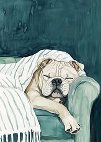 En mysig poster av en sovande bulldogg-7