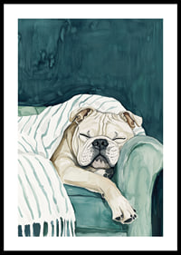 En mysig poster av en sovande bulldogg-0