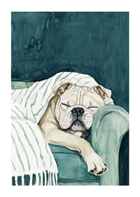 En mysig poster av en sovande bulldogg-1