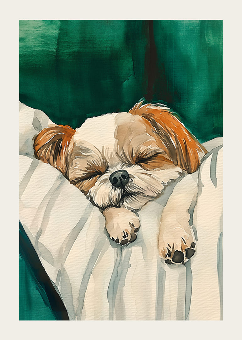 Een schattige poster van een slapende hond die vrede verspreidt-12